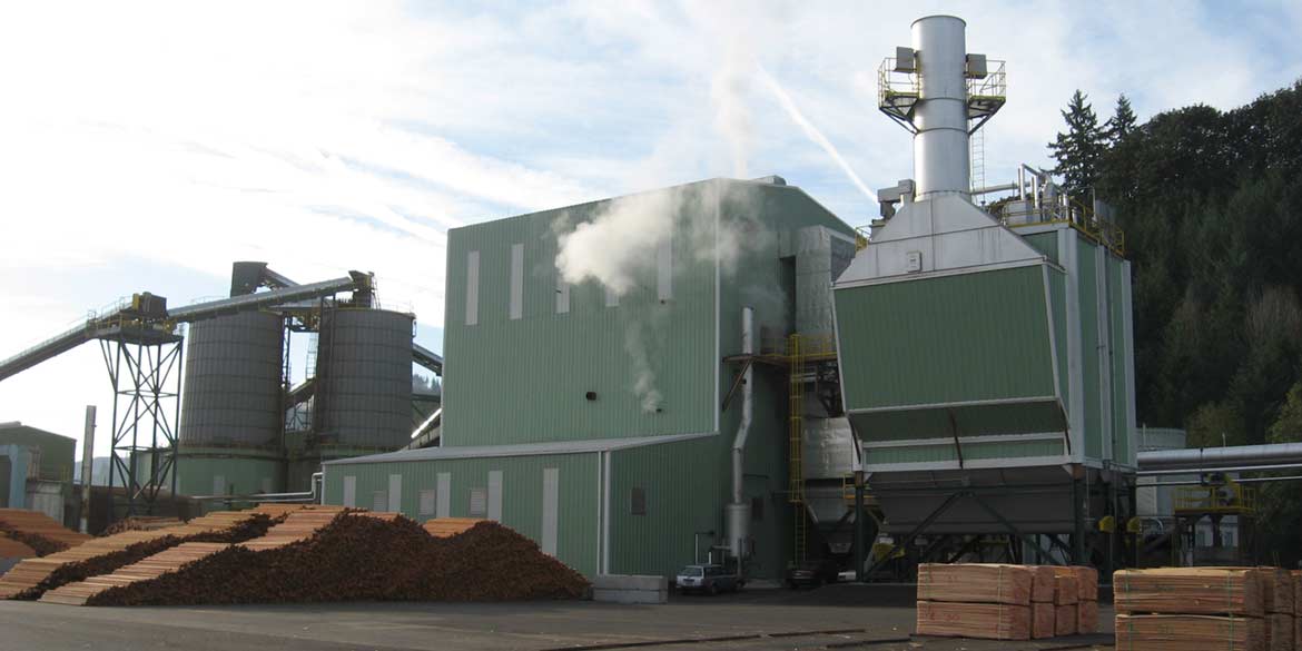 Wellons Biomass Steam Boiler System