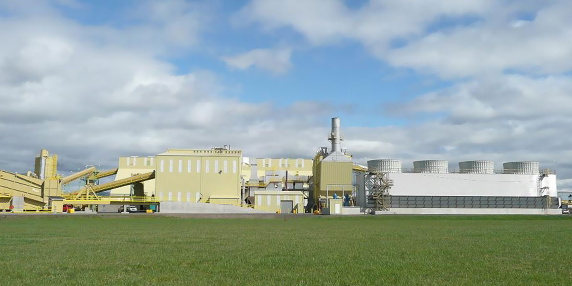 Wellons Biomass Combined Heat and Power Facility