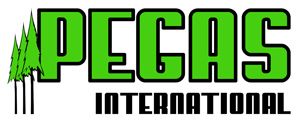 Pegas