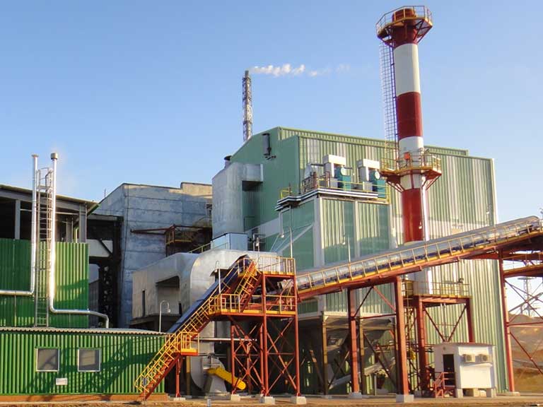 Wellons International